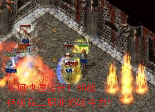 ��ο�������1.80ս��Ʒ��ְҵ��ս������