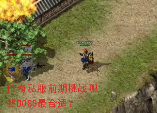 ����˽��ǰ����ս��ЩBOSS����ʣ�