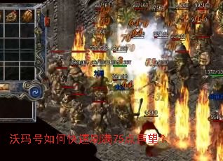 �������ο���ˢ��75��������