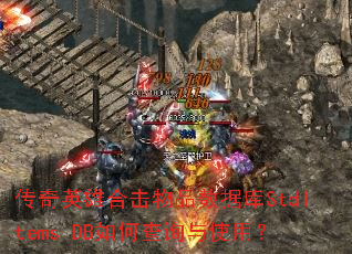 ����Ӣ�ۺϻ���Ʒ���ݿ�StdItems.DB��β�ѯ��ʹ�ã�