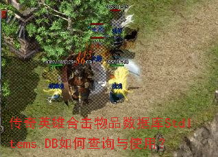 ����Ӣ�ۺϻ���Ʒ���ݿ�StdItems.DB��β�ѯ��ʹ�ã�