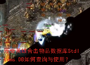 ����Ӣ�ۺϻ���Ʒ���ݿ�StdItems.DB��β�ѯ��ʹ�ã�