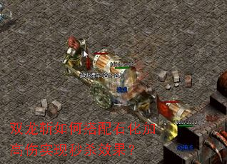 ˫��ն��δ���ʯ���Ӹ���ʵ����ɱЧ����