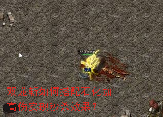 ˫��ն��δ���ʯ���Ӹ���ʵ����ɱЧ����