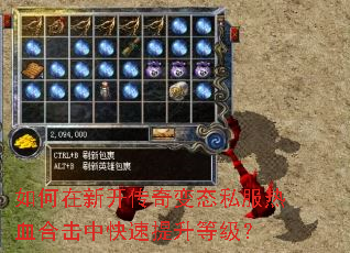 ������¿������̬˽����Ѫ�ϻ��п��������ȼ���