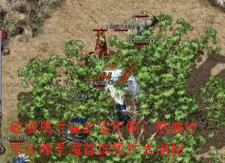 �����������û������Ѫ����˽��ʥħ�������Դ����