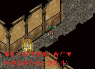 ������ÿ�ݼ�����ڴ�����Ϸ��ʵ�ָ�Чս����