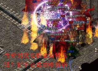 ������Ϸ��ְҵ���ѡ�����ֱؿ����Խ���