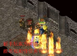 �������Ϊ�ξ����ܺ���ˢ������