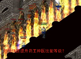 ��ο�������ҩ����ҽ���ܵȼ���