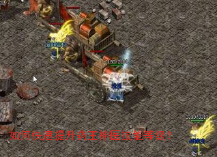 ��ο�������ҩ����ҽ���ܵȼ���