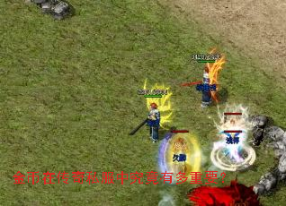 ����ڴ���˽���о����ж���Ҫ��