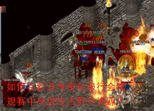 ������¿�����˽���л᳣�����и�Ч��ռҰ����Դ��