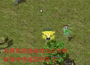 �������������ָ�ڴ����·��п�������ʵ����