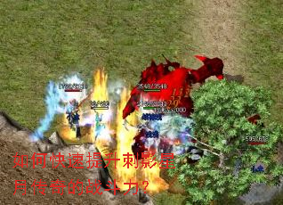 ��ο���������Ӱ���´����ս������