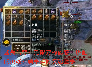 ��ʧ���棺���޵����ջ���Ѫ����ս��������ο������֣�