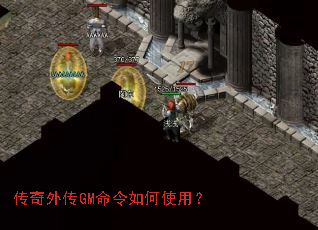 �����⴫GM�������ʹ�ã�