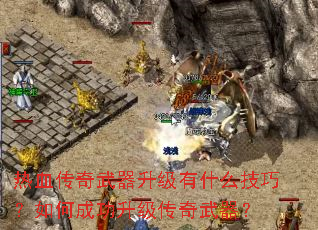 ��Ѫ��������������ʲô���ɣ���γɹ���������������