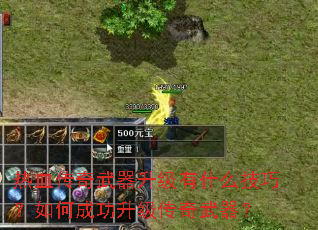 ��Ѫ��������������ʲô���ɣ���γɹ���������������