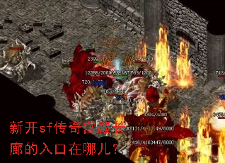 �¿�sf���湬��ȵ�������Ķ���