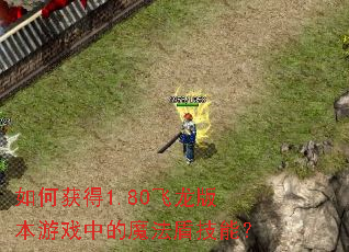 ��λ��1.80�����汾��Ϸ�е�ħ���ܼ��ܣ�