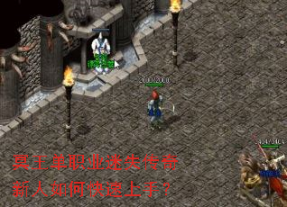 ڤ����ְҵ��ʧ����������ο������֣�