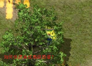 ��ο��ٺϳɸ߼�ѫ�£�