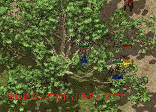 ��ʦ�ջ�֮������ٻ�ǿ��������