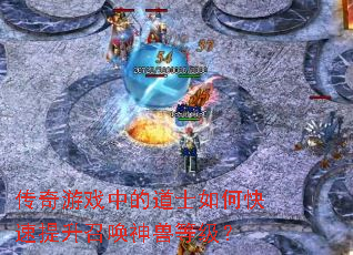 ������Ϸ�еĵ�ʿ��ο��������ٻ����޵ȼ���