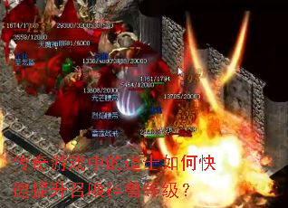 ������Ϸ�еĵ�ʿ��ο��������ٻ����޵ȼ���