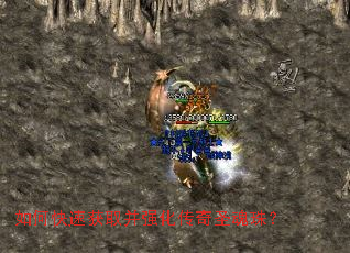 ��ο��ٻ�ȡ��ǿ������ʥ���飿