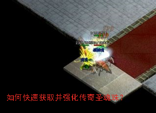 ��ο��ٻ�ȡ��ǿ������ʥ���飿