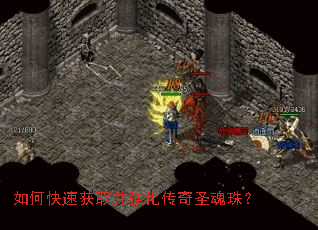 ��ο��ٻ�ȡ��ǿ������ʥ���飿