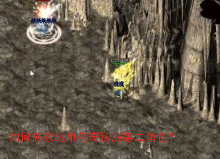 ��θ�Ч���ô���˽���ڶ���ɫ��