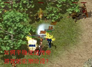 ���ƽ�ȶȹ�������Ϸ��ǰ�ڽ׶Σ�