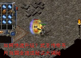 ��ο�����������ʥ������µ���ҵ�ٳ��ؾ������