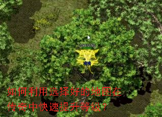 �������ѡ��õĵ�ͼ�ڴ����п��������ȼ���