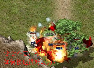 ���������Լ������ο�������ս����