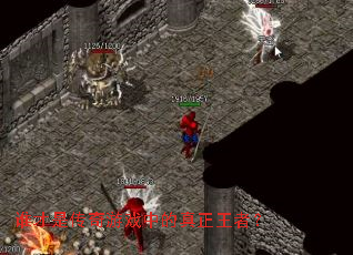 ˭���Ǵ�����Ϸ�е��������ߣ�