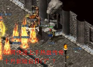 ��ο���������Ѫ����ʮ���°�����š���