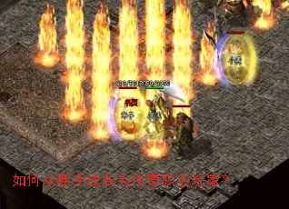 ��δ����ֳɳ�Ϊ����ְҵ��ң�