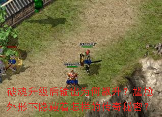 �ƻ����������Ϊ����������������������������Ĵ������ܣ�