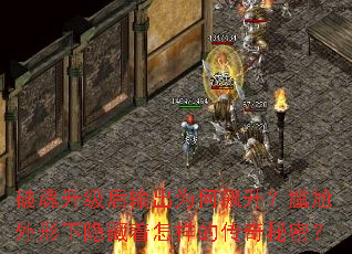 �ƻ����������Ϊ����������������������������Ĵ������ܣ�