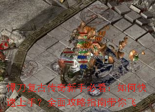 �������Ŵ������ֱؿ�����ο������֣�ȫ�湥��ָ�ϴ����