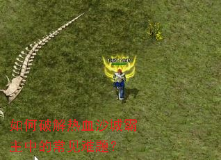 ����ƽ���Ѫɳ�ǰ����еĳ������⣿