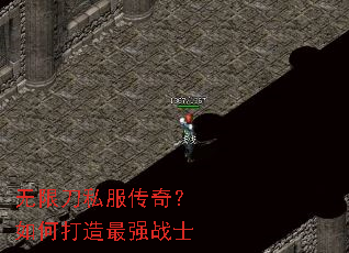 ���޵�˽�����棿��δ�����ǿսʿ