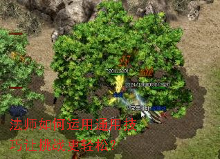 ��ʦ�������ͨ�ü�������ս�����ɣ�