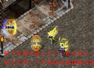 ������ο�������1.76���ż�Ʒ�������Σ�������·�ر�����ָ��