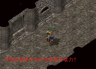 ������Ϸ������ο�������ս����