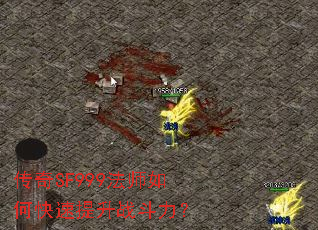 ����SF999��ʦ��ο�������ս������